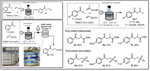 圖5 芳香醛的雙官能團構(gòu)建光催化合成路線