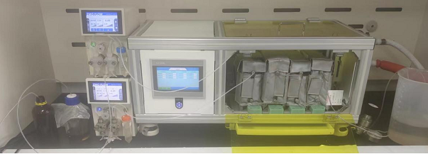 1728378724140248.png 1728378724140248.png