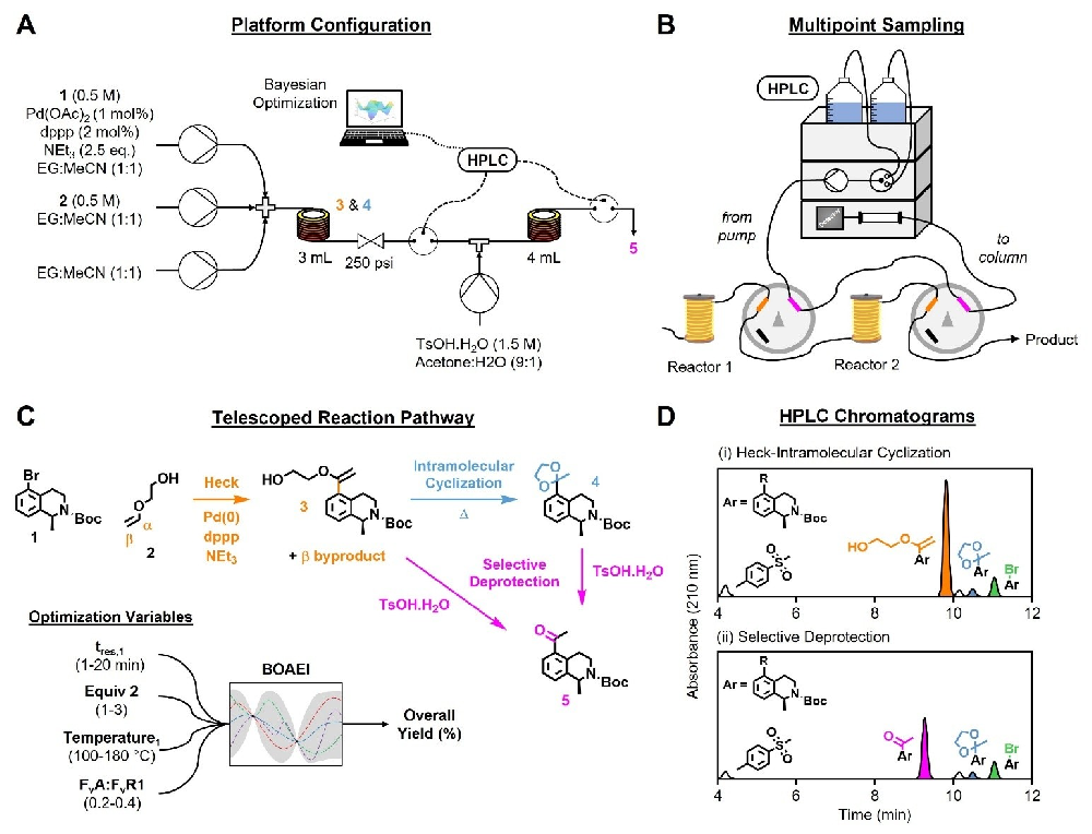 1766126840177544.png 1766126840177544.png