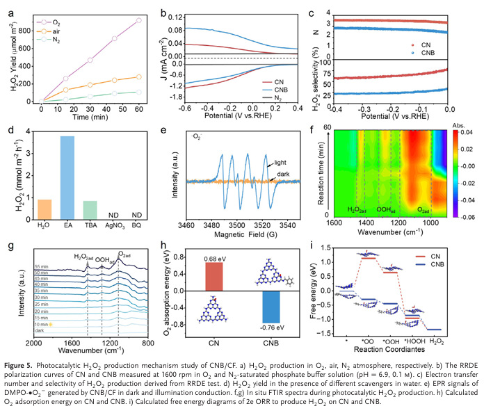 1767066630172771.png 1767066630172771.png