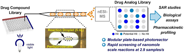 1768379510145755.png 圖片1.png